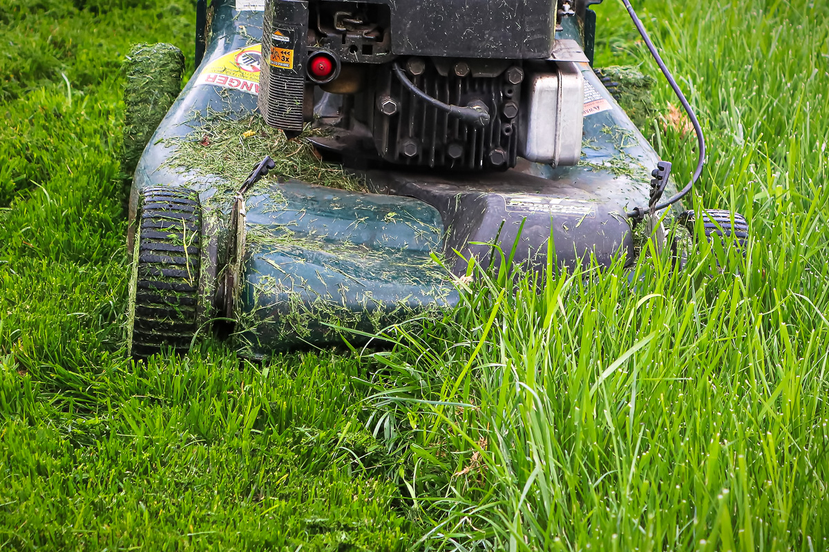 Mowing Tall Grass