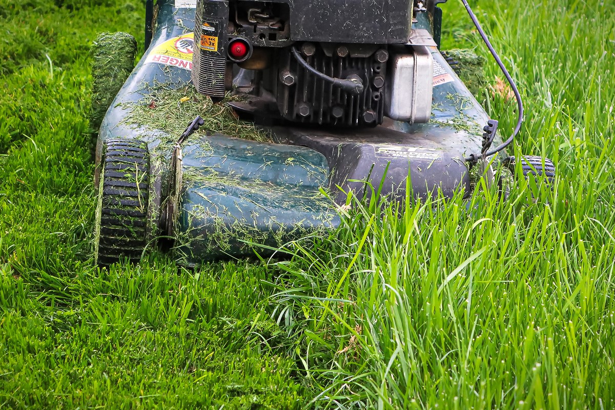 Why You Shouldn t Mow In High Heat GreenView