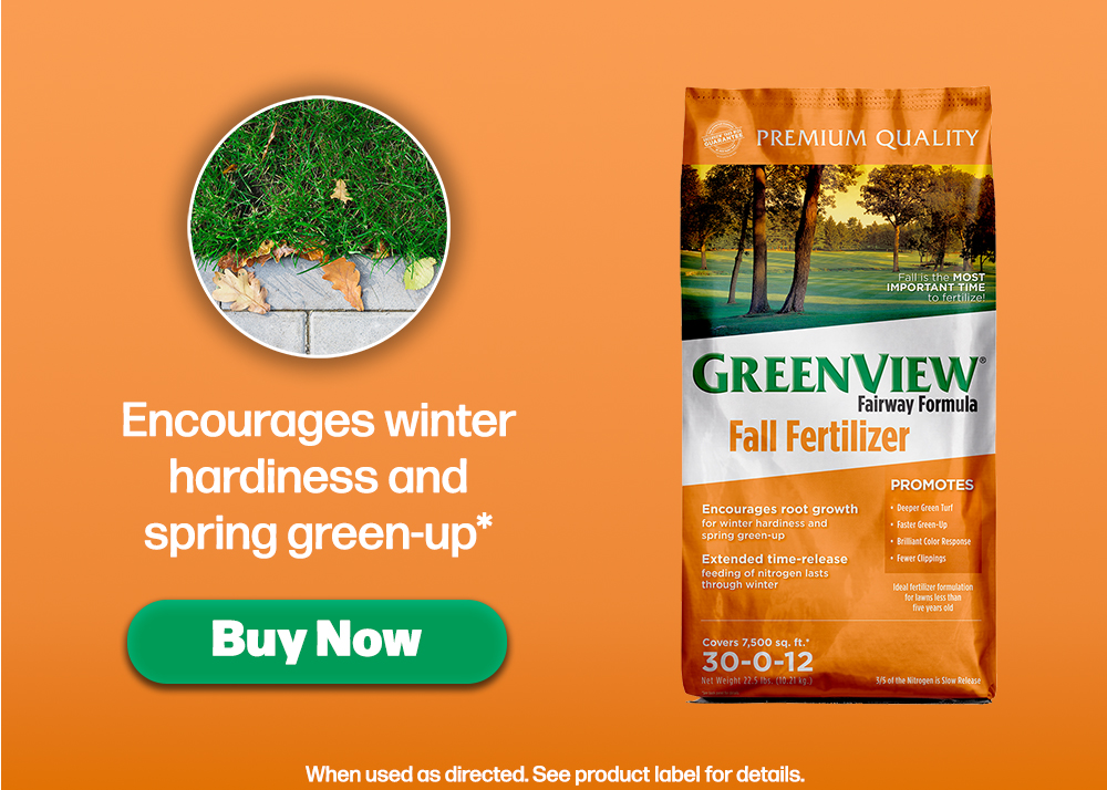 GreenView Fall Fertilizer