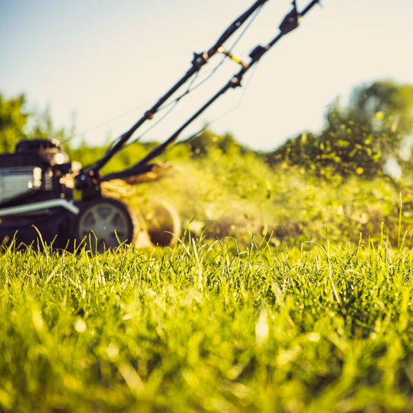 GreenView Spring Fertilizer with Crabgrass Preventer