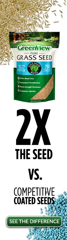 thumbnail image 2 of Organic Granular Compost & Seed - 20kg Lawn Top Dressing With 3-Way Grass Blend 2 of 14