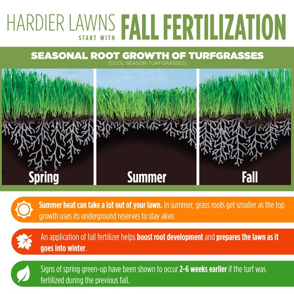 Hardier lawns start with fall fertilization
