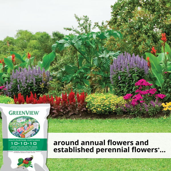 Use around annual flowers and established perennial flowers