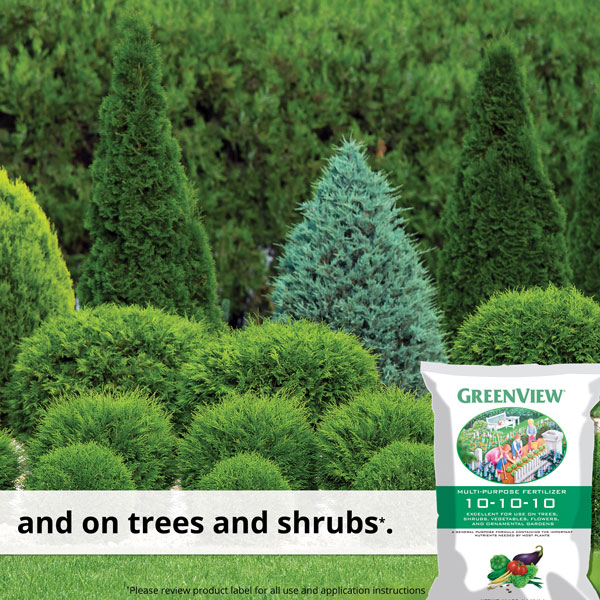 and on trees and shrubs