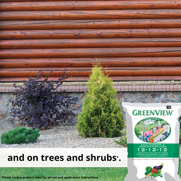 and on trees and shrubs