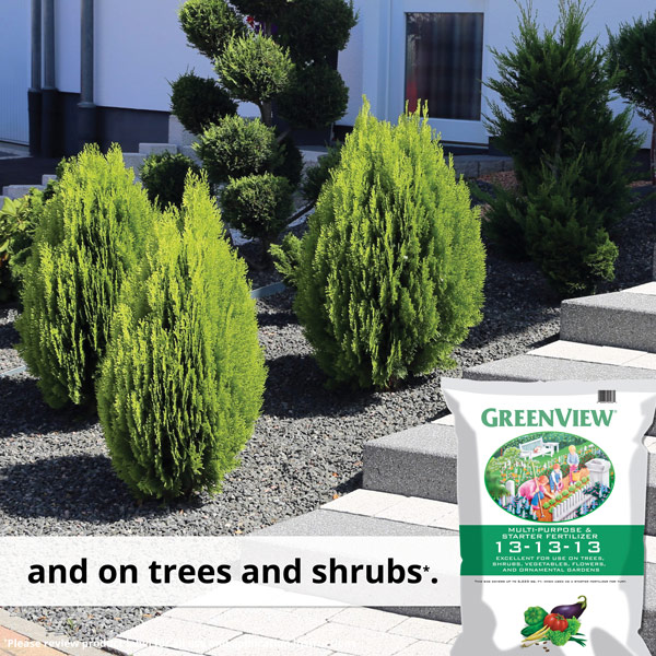 and on trees and shrubs